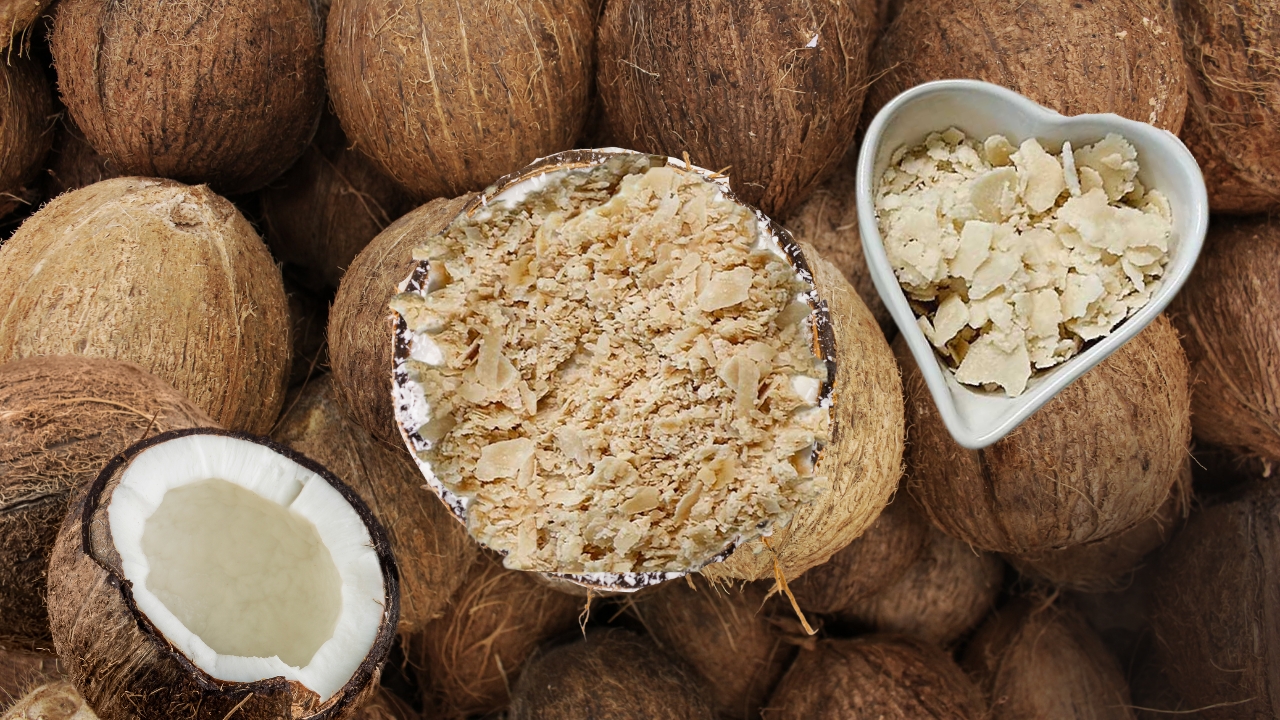 100% Natural Coconut Milk Powder at home! - TurmericMeCrazy